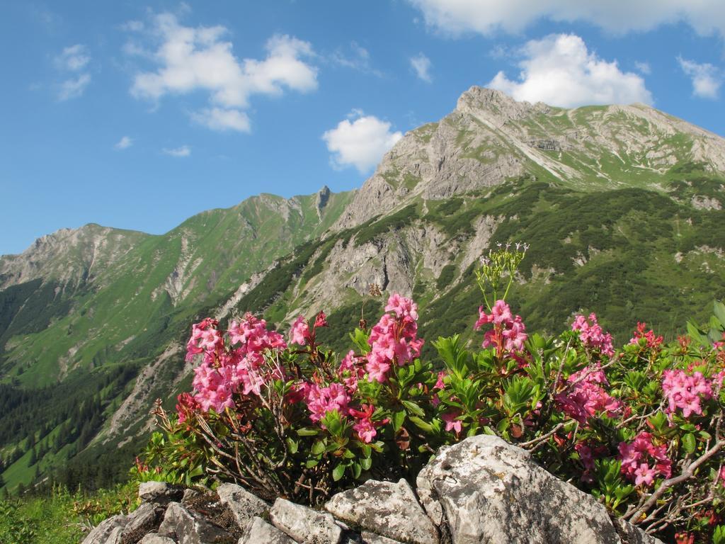 Intown Apartment Schmiede Saalbach-Hinterglemm Dış mekan fotoğraf